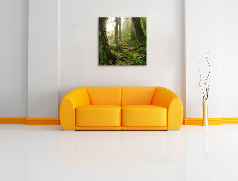 Tropischer La Selva Dschungel Leinwandbild Quadratisch über Sofa