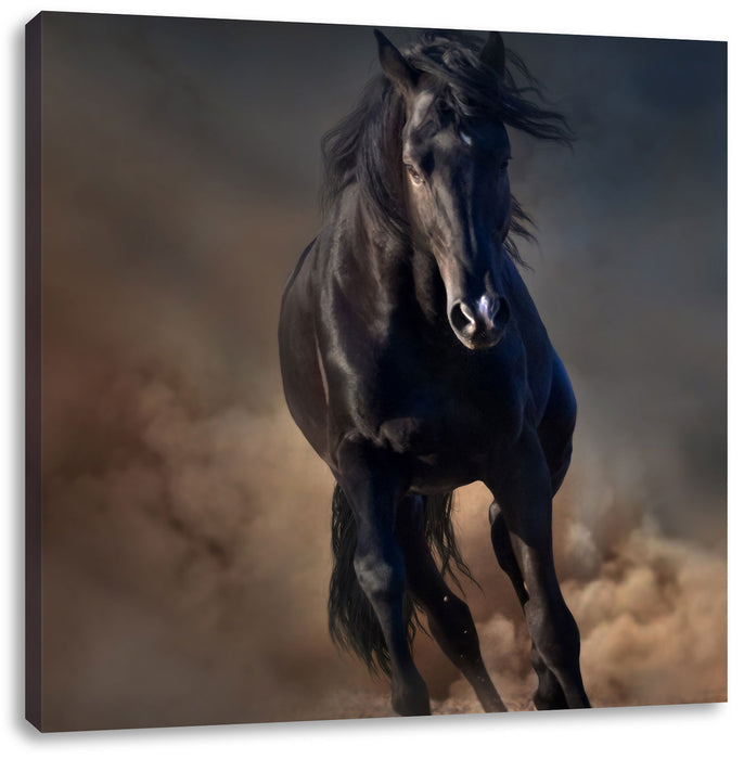 Elegantes schwarzes Pferd Leinwandbild Quadratisch