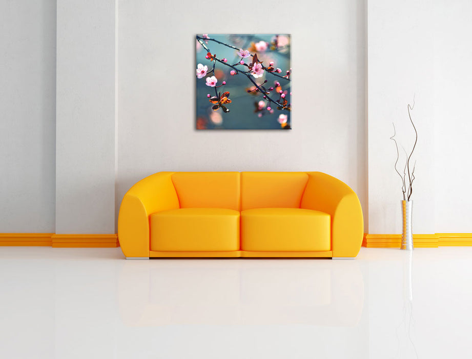 Sakura Blüten Leinwandbild Quadratisch über Sofa