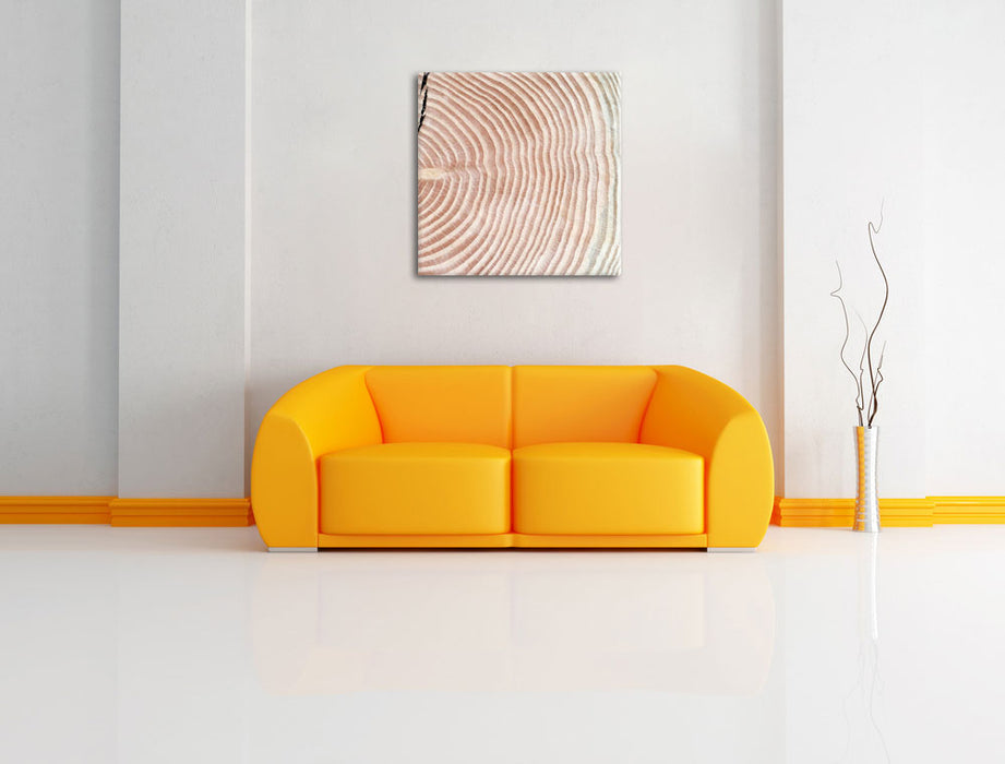Baumstamm Jahresringe Leinwandbild Quadratisch über Sofa