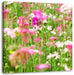 Wundervolle Blumenwiese Leinwandbild Quadratisch