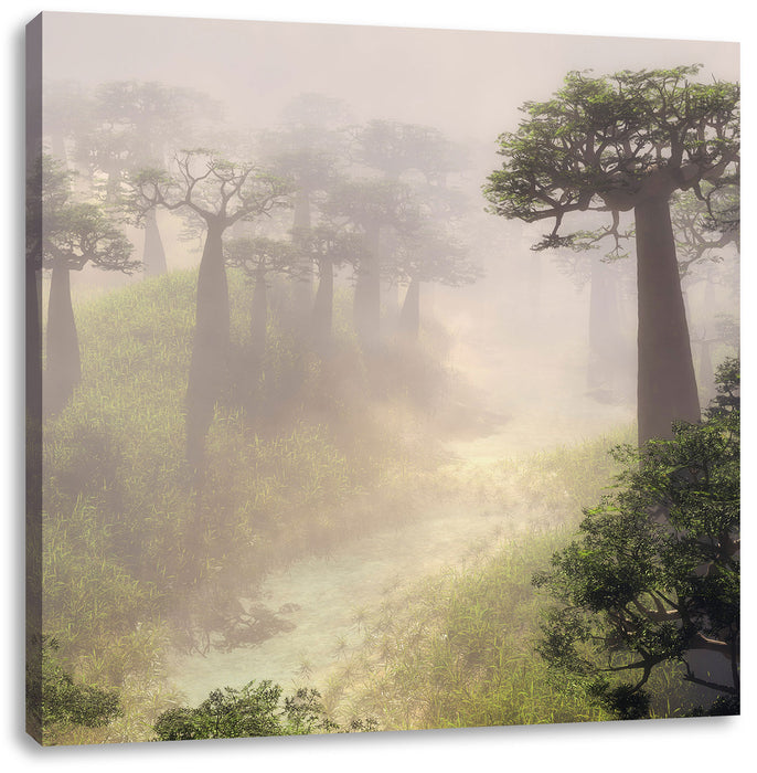 Mysteriöser Wald im Nebel Leinwandbild Quadratisch