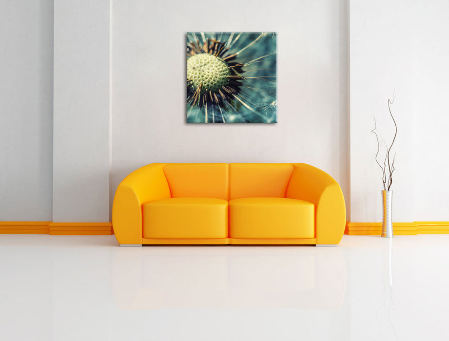 Nahaufnahme einer Pusteblume Leinwandbild Quadratisch über Sofa
