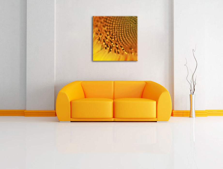 Wunderschöne gelbe Sonnenblume Leinwandbild Quadratisch über Sofa
