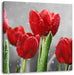 Rote Tulpen mit Tropfen bedeckt Leinwandbild Quadratisch