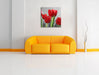 Rote Tulpen mit Tropfen bedeckt Leinwandbild Quadratisch über Sofa