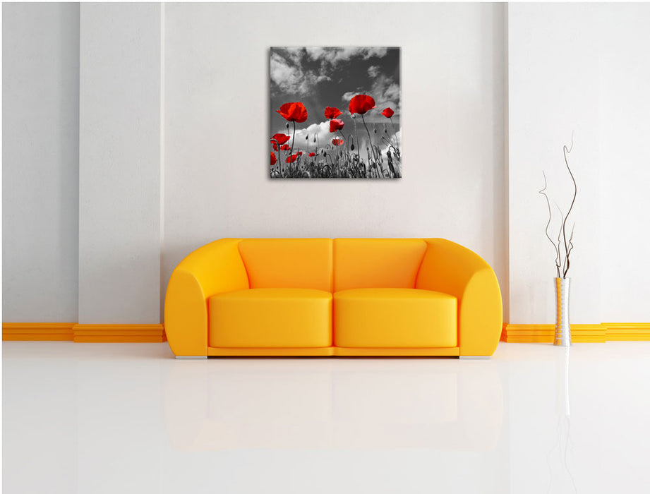 Wiese mit Blumen Leinwandbild Quadratisch über Sofa