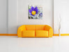 Krokusse in der Blütezeit Leinwandbild Quadratisch über Sofa