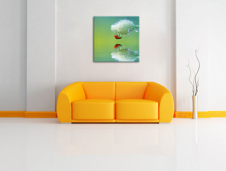 Marienkäfer Mohnblume Leinwandbild Quadratisch über Sofa