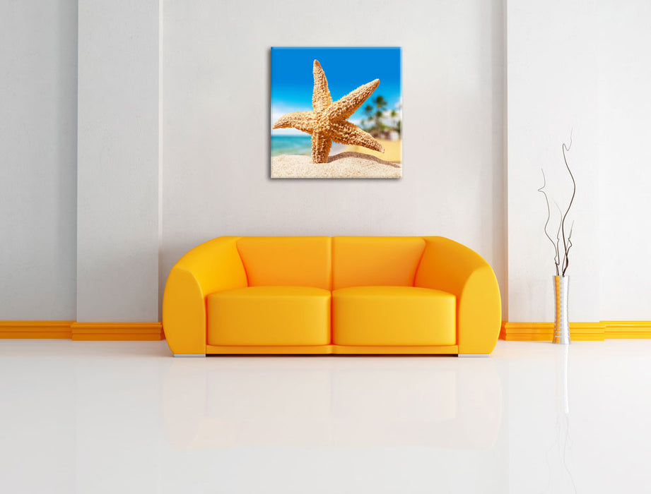 Seestern Palm Beach Leinwandbild Quadratisch über Sofa