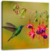 Kolibri trinkt vom Blütennektar Leinwandbild Quadratisch