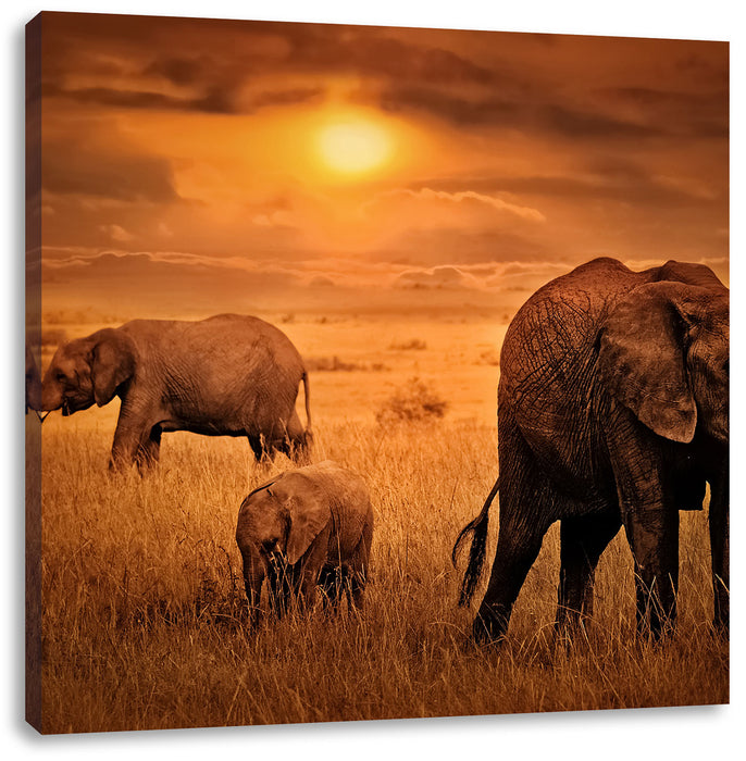 Elefanten in der Savanne Leinwandbild Quadratisch