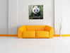 Niedlicher Panda isst Bambus Leinwandbild Quadratisch über Sofa