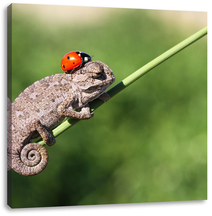 Süßer Gecko mit einem Marienkäfer Leinwandbild Quadratisch