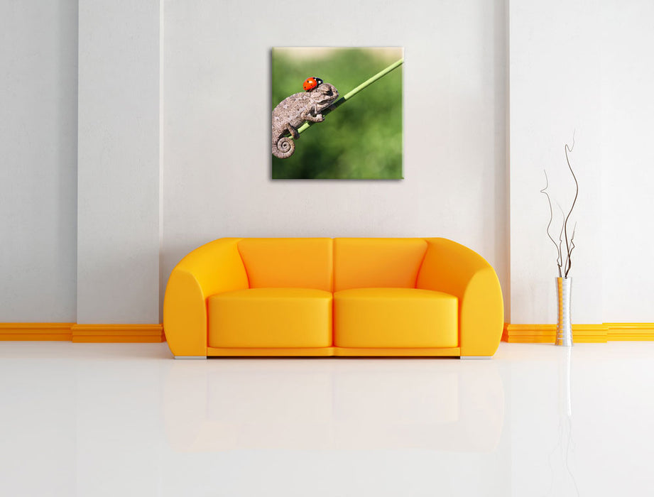 Süßer Gecko mit einem Marienkäfer Leinwandbild Quadratisch über Sofa
