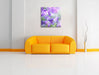 Lilane Lavendelblumen Leinwandbild Quadratisch über Sofa
