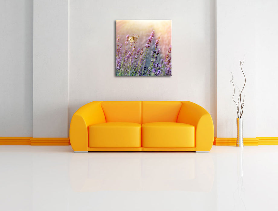 Schmetterlinge auf Lavendelblumen Leinwandbild Quadratisch über Sofa