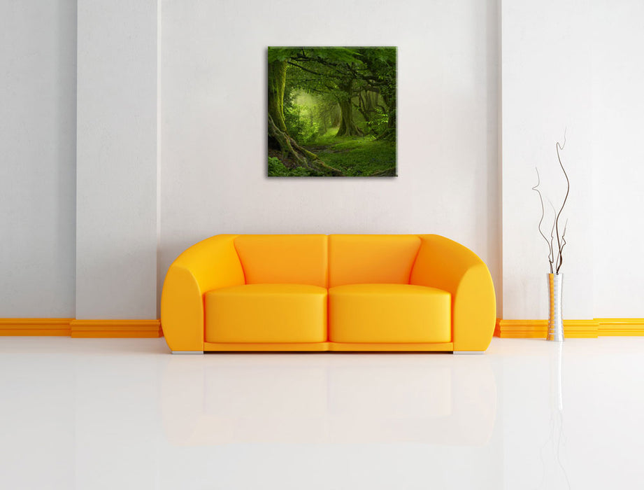 Dschungel im Regenwald Leinwandbild Quadratisch über Sofa