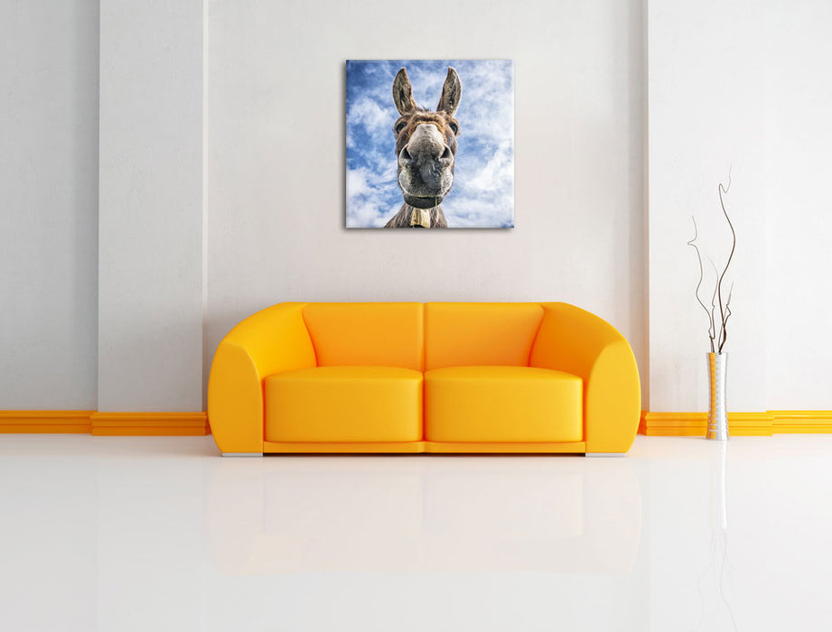 Lustiger Esel Leinwandbild Quadratisch über Sofa