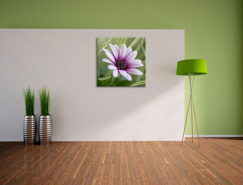 Blume in der Natur Leinwand Quadratisch im Flur