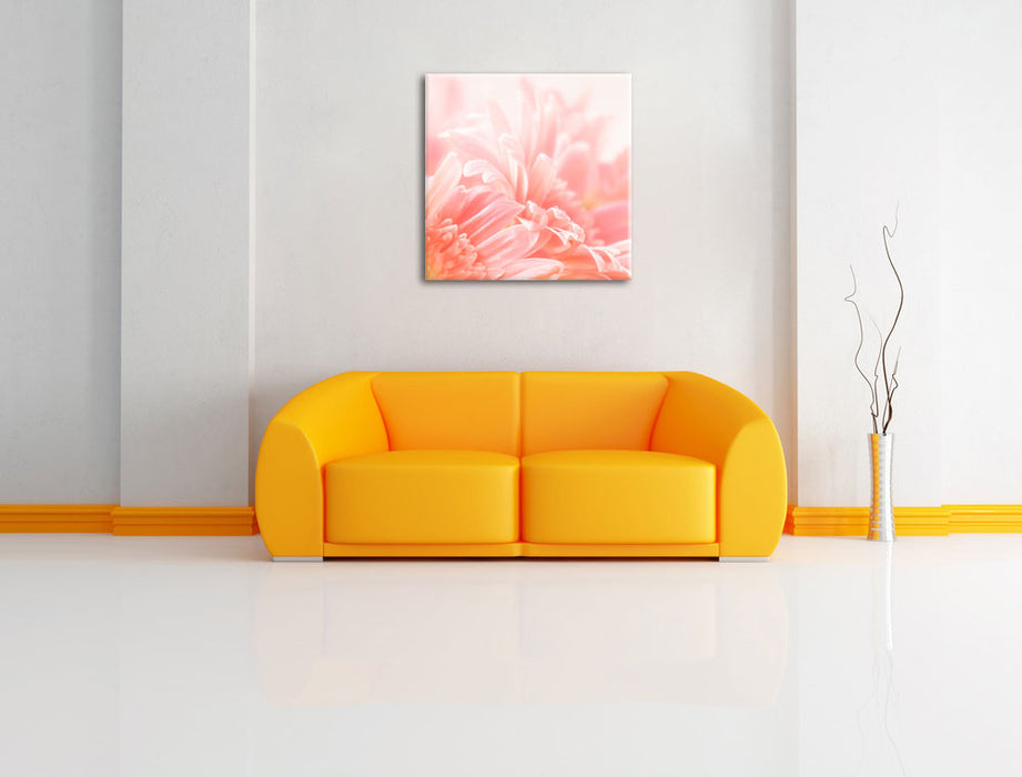 Gerbera Blume Leinwandbild Quadratisch über Sofa