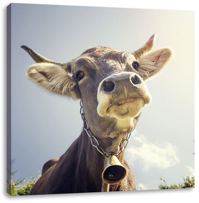 Lustiges Kuh, Leinwandbild— Portrait einer