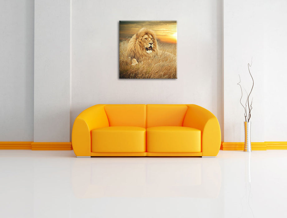 mächtiger Löwe Leinwandbild Quadratisch über Sofa