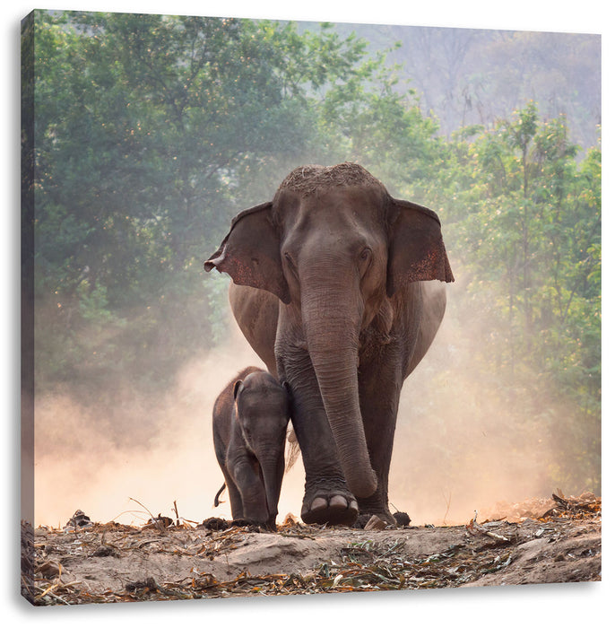 Elefantenbaby mit Mutter Leinwandbild Quadratisch