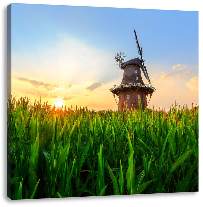 schöne Windmühle auf dem Feld Leinwandbild Quadratisch