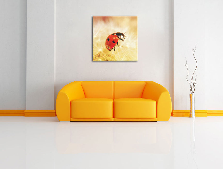 Marienkäfer in der Nahaufnahme Leinwandbild Quadratisch über Sofa