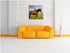 zwei Pferde auf der Wiese Leinwandbild Quadratisch über Sofa