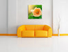 orange Blume im Sonnenlicht Leinwandbild Quadratisch über Sofa