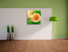 orange Blume im Sonnenlicht Leinwand Quadratisch im Flur