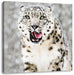 Leopard im Schnee Leinwandbild Quadratisch