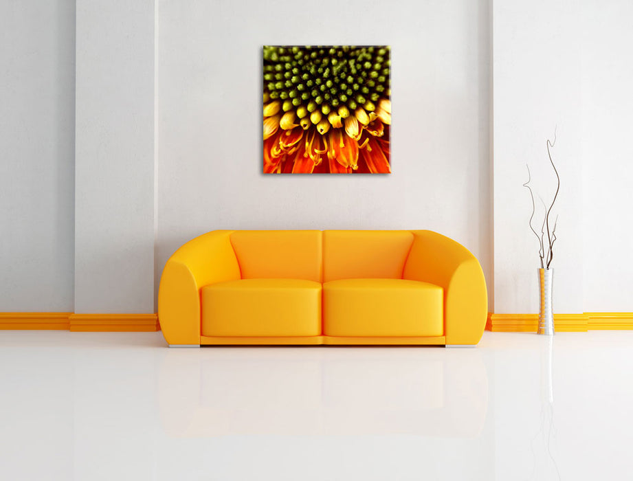 Nahaufnahme einer Gerbera Leinwandbild Quadratisch über Sofa