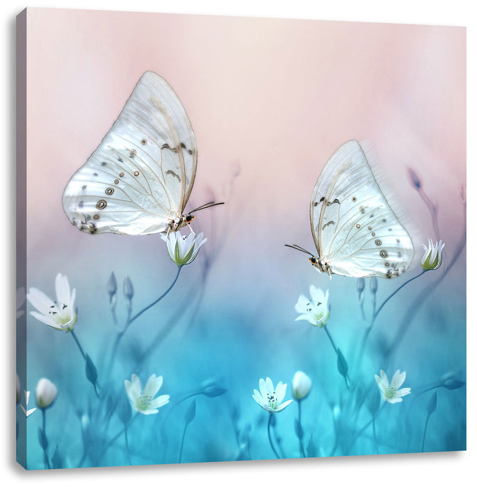 Schmetterling auf kleinen Blumen Leinwandbild Quadratisch