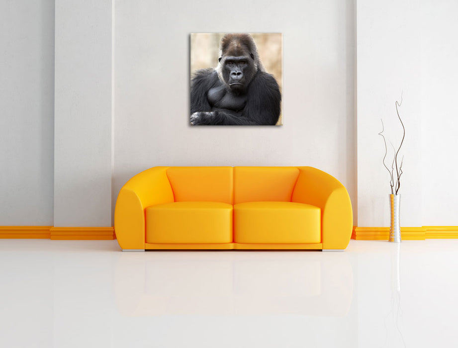 gelangweilter Gorilla Leinwandbild Quadratisch über Sofa