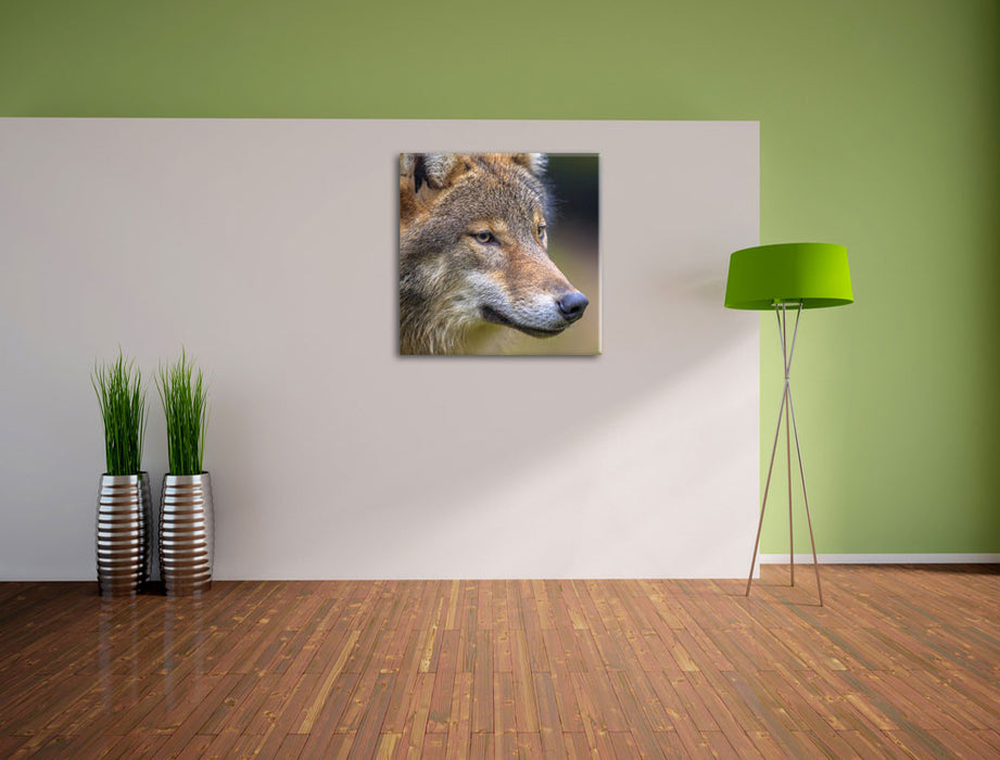 Porträ des europäischen Wolfes Leinwand Quadratisch im Flur