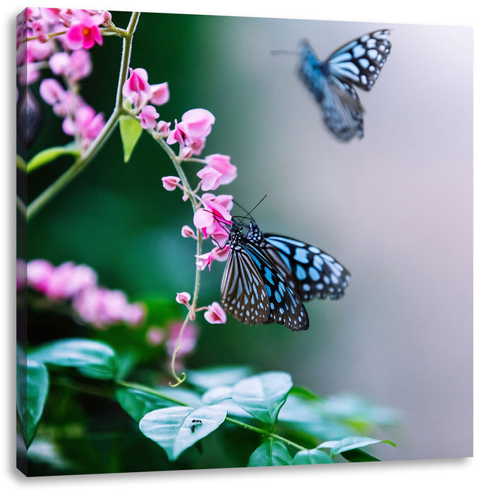 Schmetterlinge auf rosa Blumen Leinwandbild Quadratisch