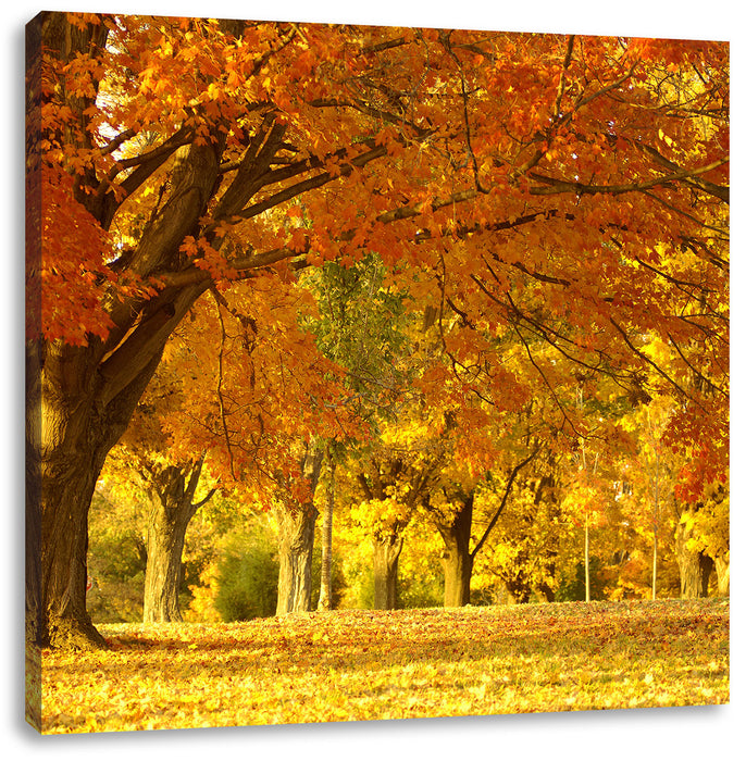 schöne Herbstlandschaft Leinwandbild Quadratisch