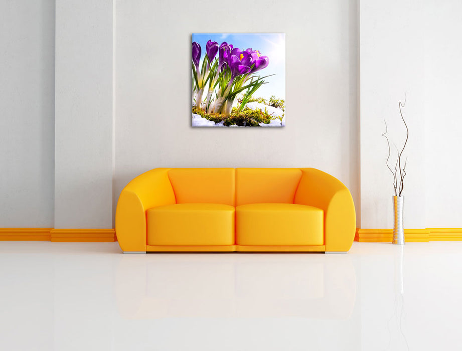 Kunst Frühling flower Hintergrund Leinwandbild Quadratisch über Sofa