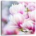 zarte rosa farbende Blüten Leinwandbild Quadratisch