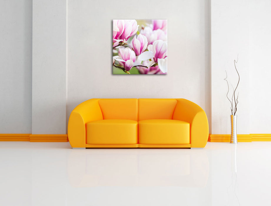 feine rosa farbende Blüte Leinwandbild Quadratisch über Sofa