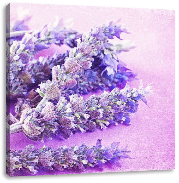 getrockneter Lavendel Leinwandbild Quadratisch