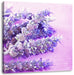getrockneter Lavendel Leinwandbild Quadratisch