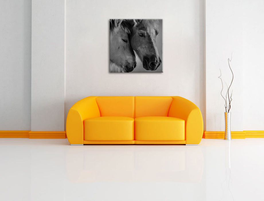 zwei liebevolle Pferde Leinwandbild Quadratisch über Sofa