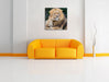 schöner Löwe mit Jungtier Leinwandbild Quadratisch über Sofa