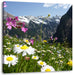 Wunderschöne Blumen Alpenwiese Leinwandbild Quadratisch