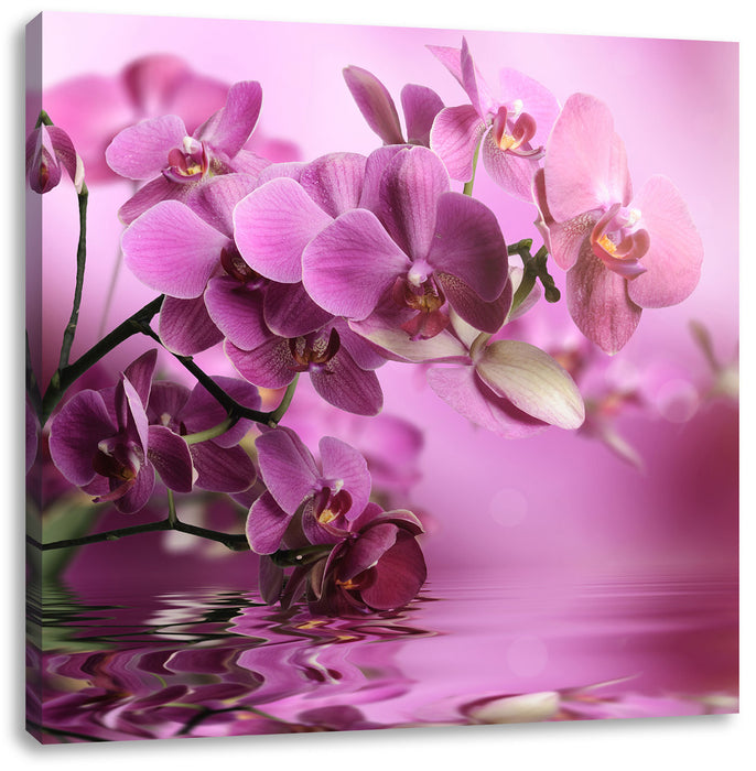 Wunderschöne Orchideenblüten Leinwandbild Quadratisch