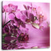 Wunderschöne Orchideenblüten Leinwandbild Quadratisch
